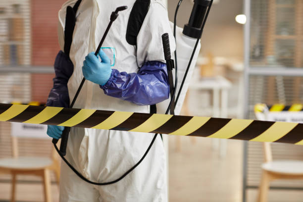 Professional Sewage Cleanup technician working in Union, KY